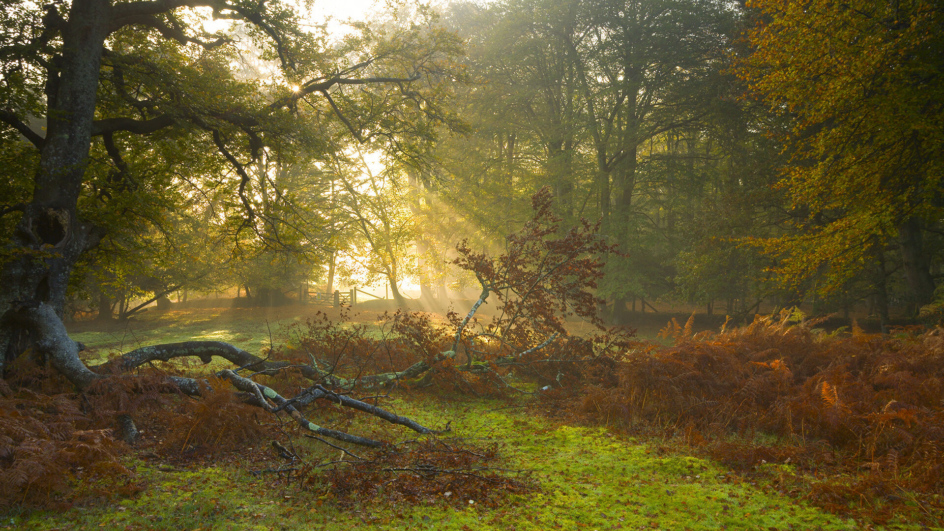 kaiyun中国官方网站-台球比赛中的“心理战”现场实录，台球实战心理策略