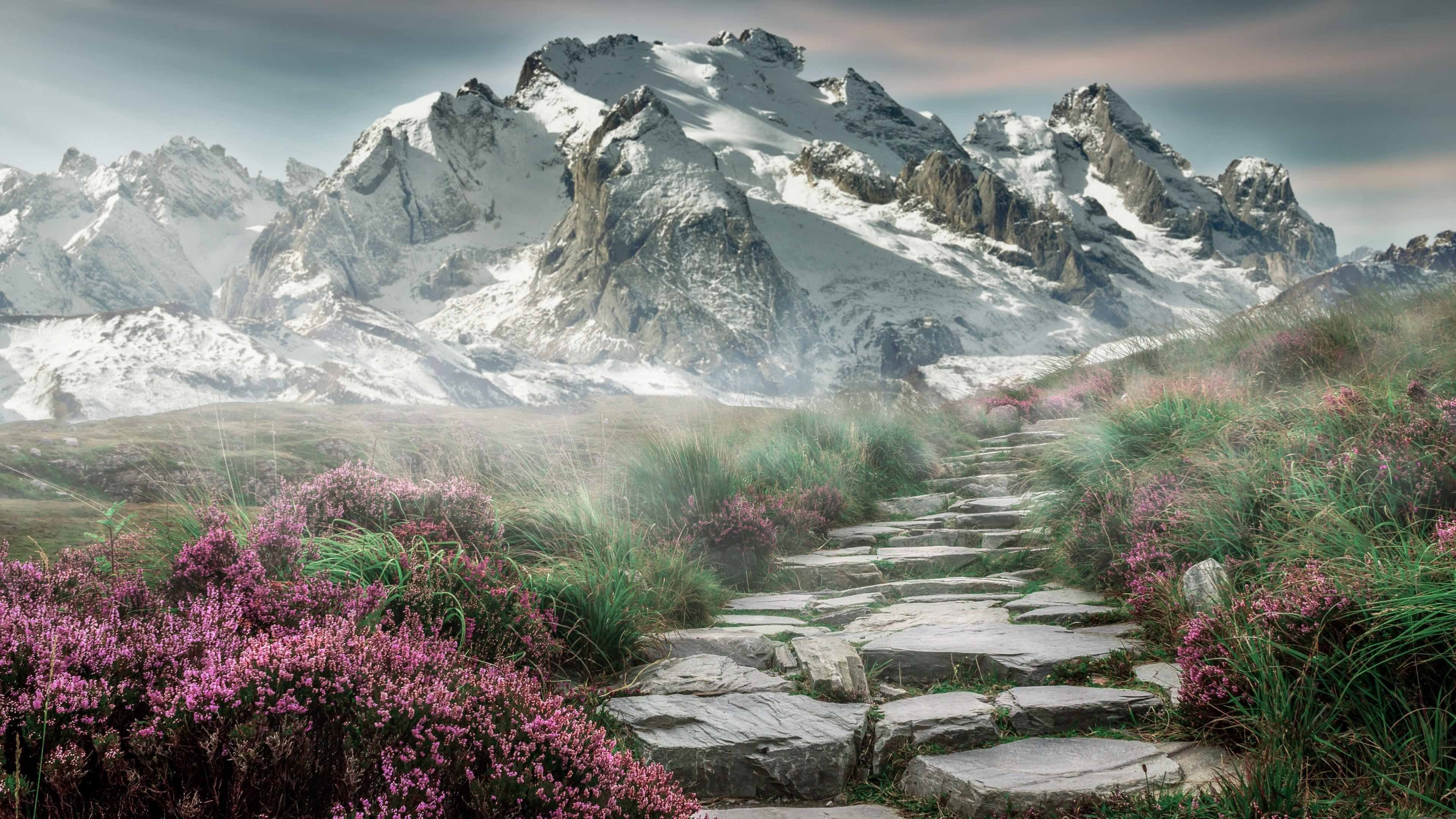 开云网站-特色篮球展演在全国巡展，增强青少年体育文化认同感，2019年全国青少年校园篮球特色学校