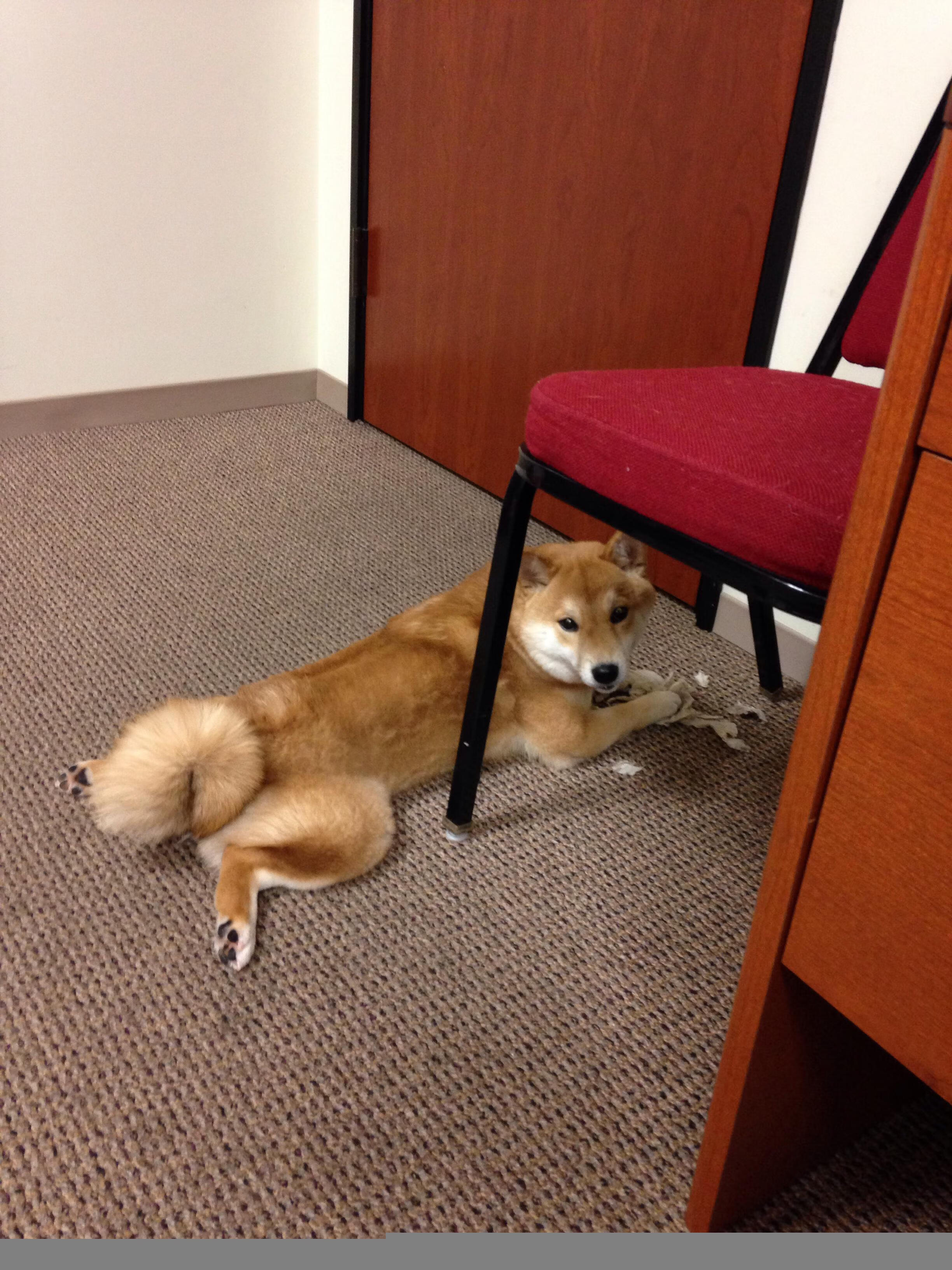 球员之间的友谊和竞争，体育精神的最佳体现，球员之间用什么语言交流