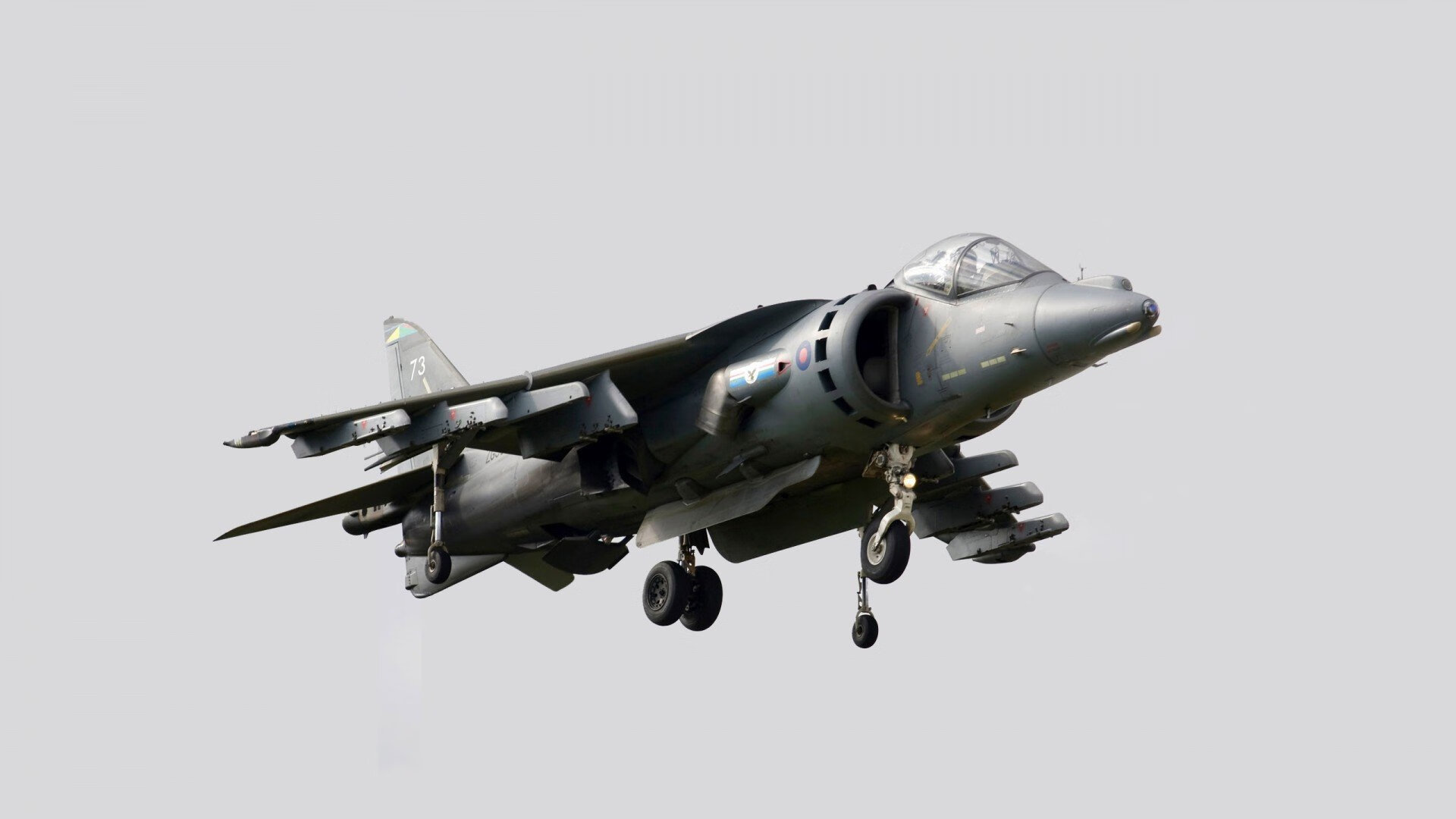 开云平台-篮球明星公益慈善活动影响范围扩大，篮球公益活动方案