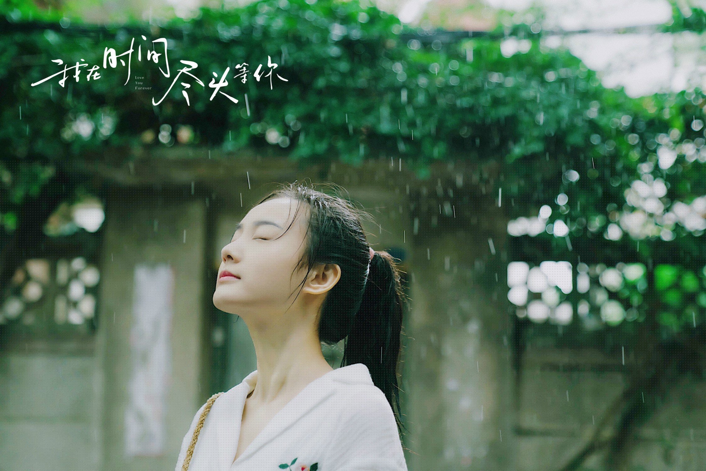 开云体育APP下载-TL选手数据表现稳中有升，t1选手资料