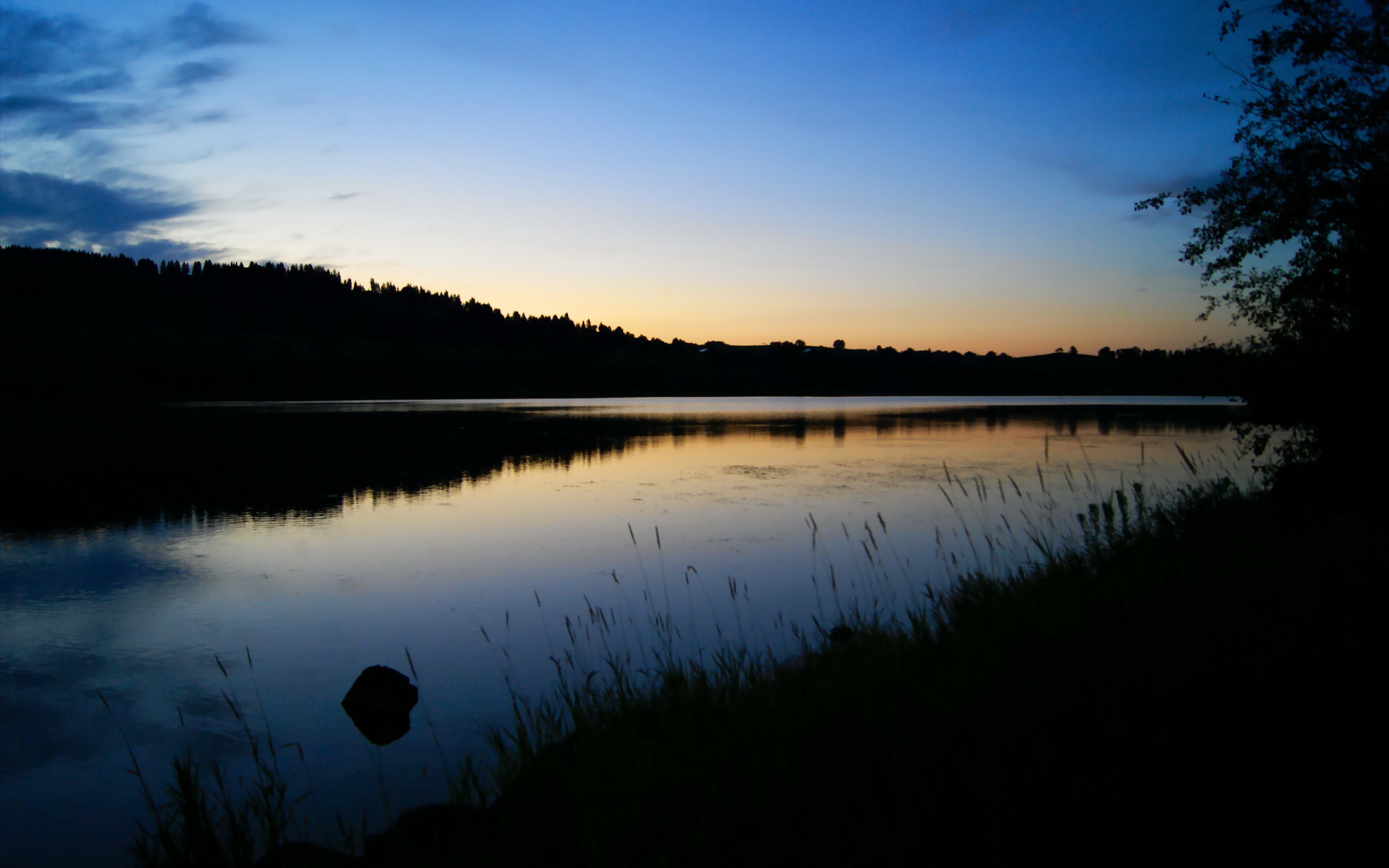 开云中国大陆-印度射击队在多个项目中获得金牌，表现抢眼。，印度射击队奥运成绩