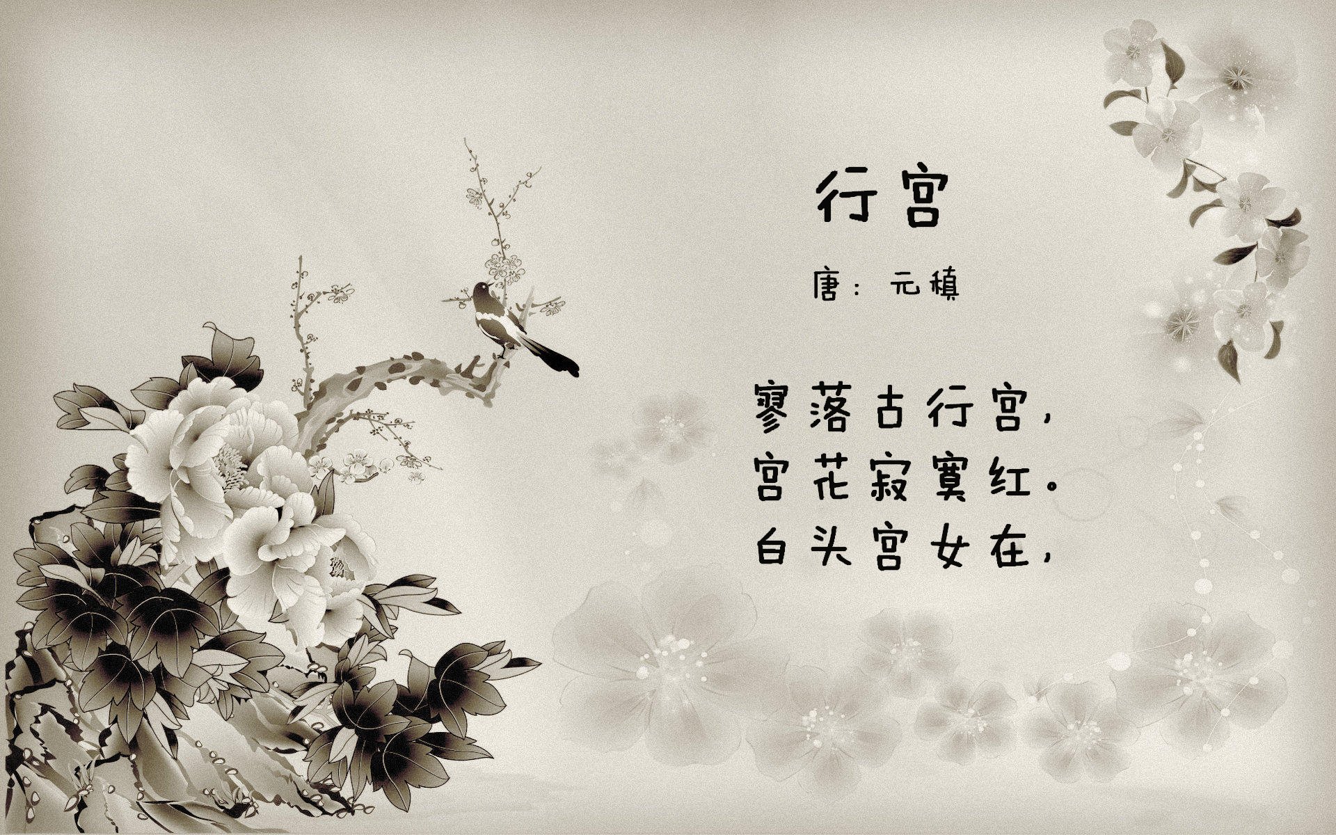 开云官方-恒大引进外援加强实力，球迷期待新赛季表现，恒大引进过的外援名单