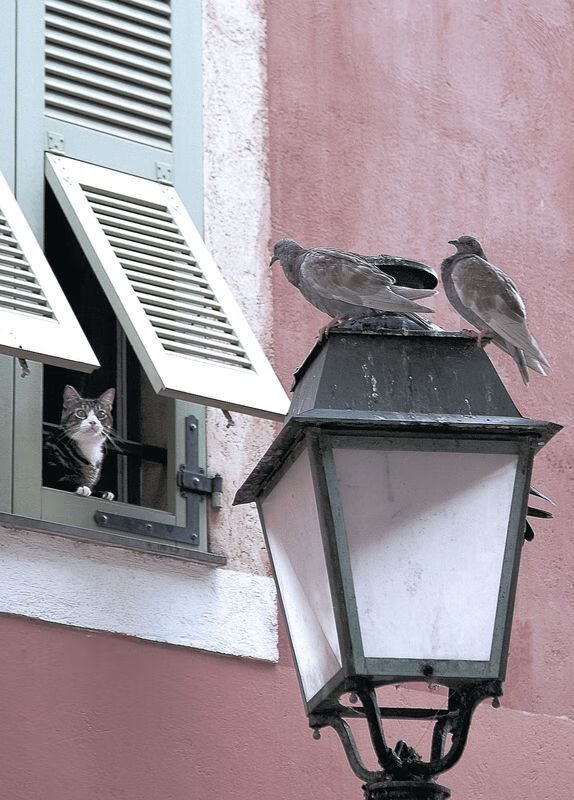 开云网页版-球队们在比赛中展现出强大的团队合作精神，浅析团队合作在篮球比赛中的重要性