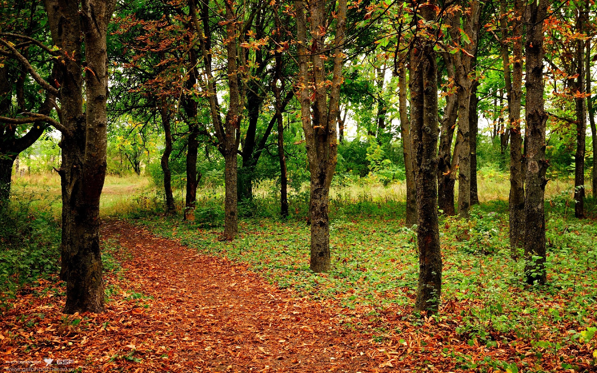 kaiyun官方入口登录-精彩绝伦：欧国联比赛争夺白热化，欧国联2022