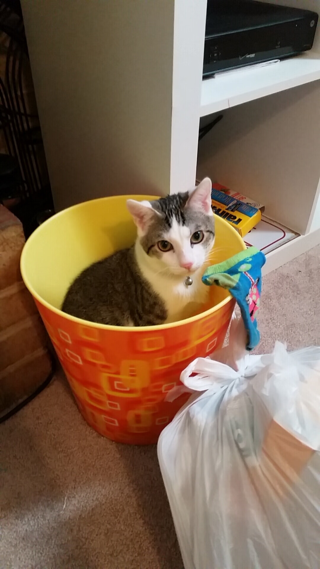 开云网站-赛场上球员表现出色，展现才华和团队配合，球员们在赛场上展现