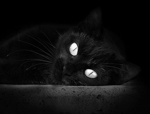 开云体育-NBA球队管理层决策机制及执行效率研究，nba哪个球队管理层良心