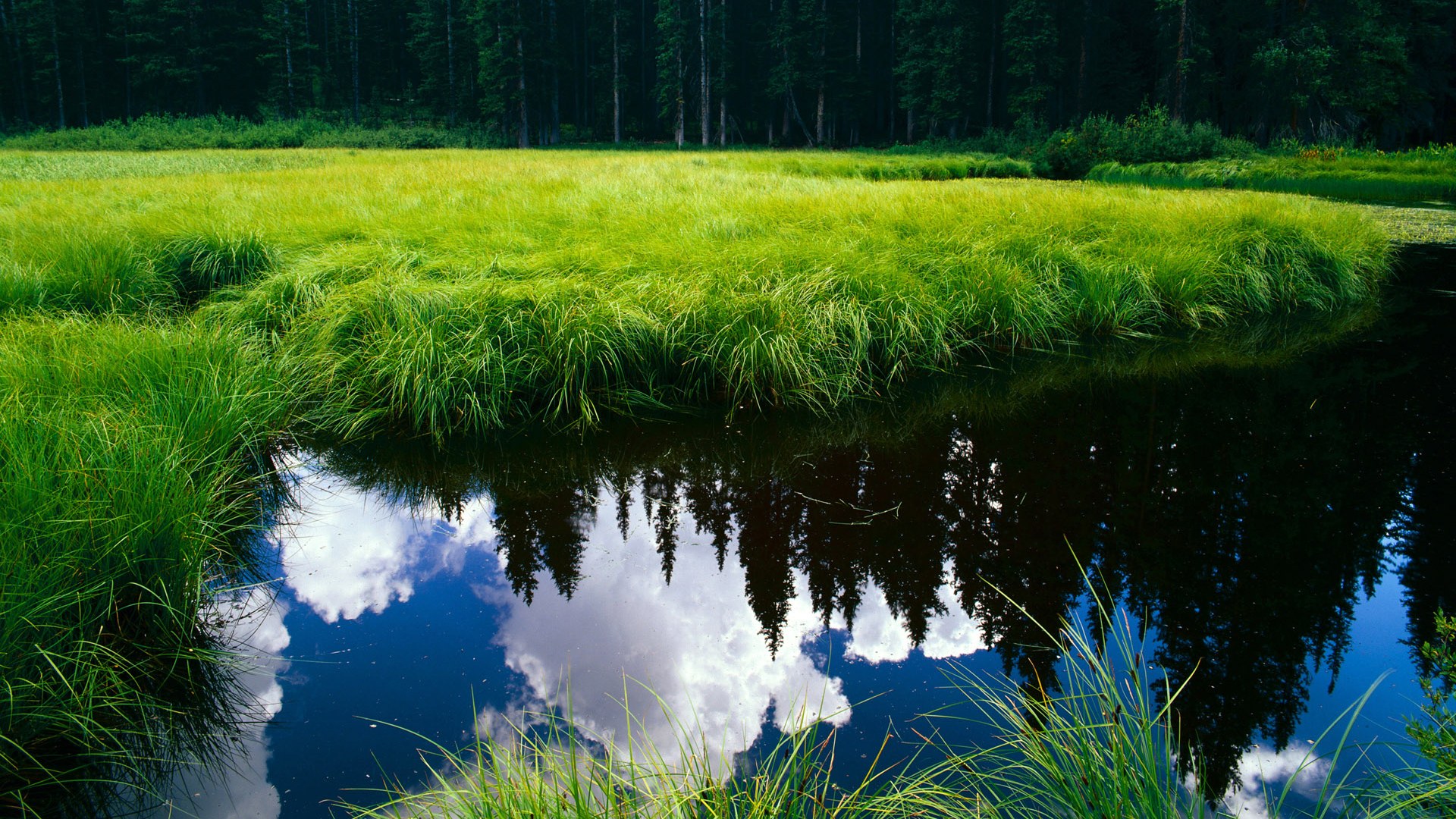 中国篮球职业联赛裁判员执法水平提升，中国篮球协会裁判员等级证书怎么考
