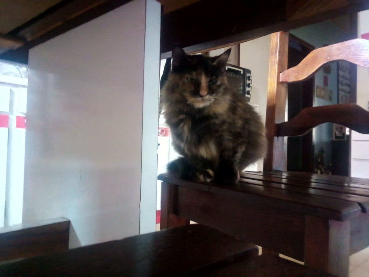 中超球员传球方向选择偏好数据，中超球员传球方向选择偏好数据的原因