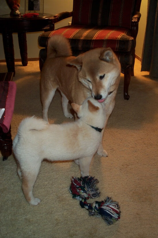 开云官网APP下载-新闻中心展示创新产品成果，创新成果展示 展板