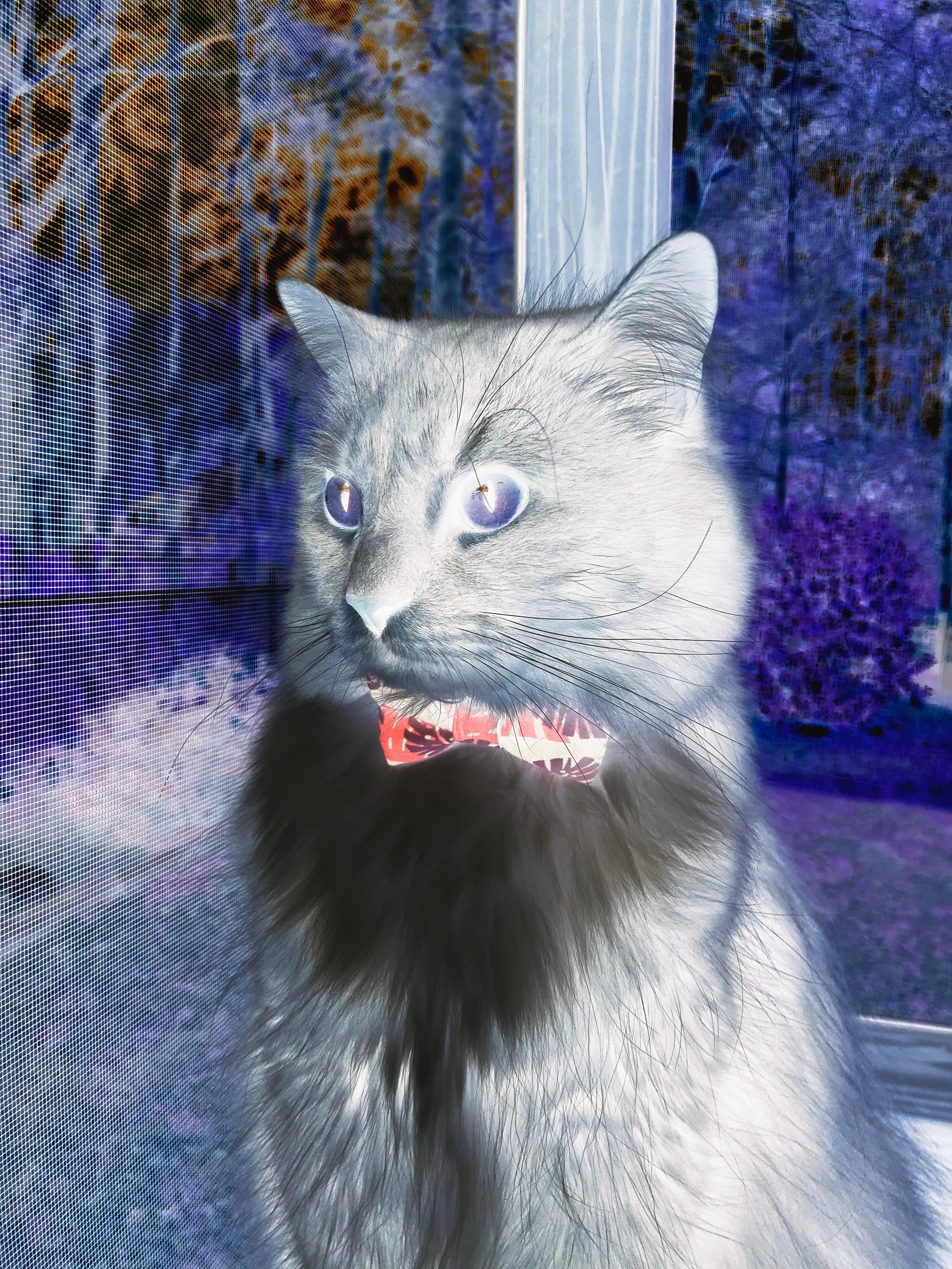 kaiyun网站-中国男篮核心阵容稳定提升联动效果，中国男篮全体合照