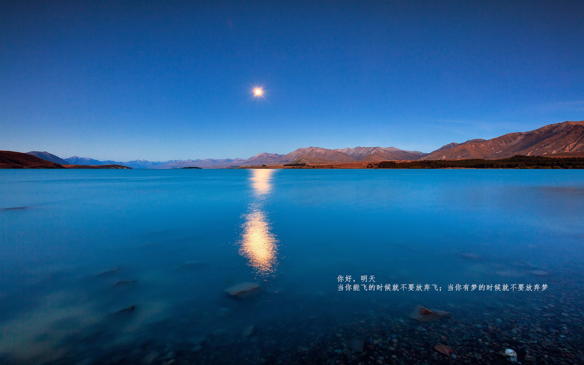 开云体育APP下载-勒沃库森传控节奏把握日益成熟，勒沃库森比赛视频聚胜顽球汇
