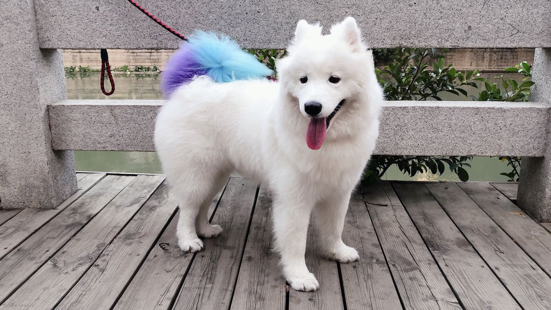 男队力拼欧美劲旅展血性，欧美男子组合