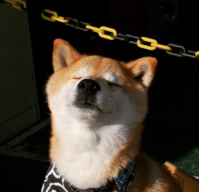 花样滑冰训练节奏调整增强动作稳定性,花样滑冰训练方法