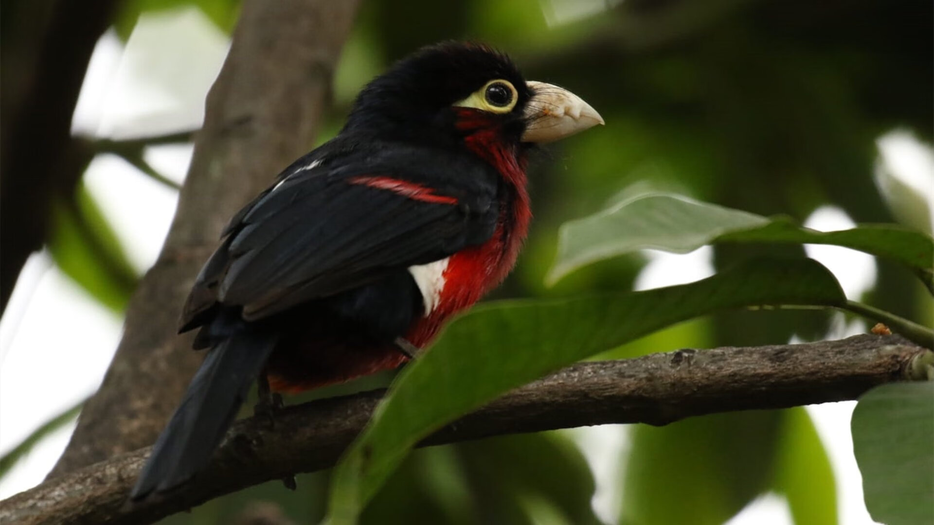 青年运动员媒体训练内容更注重形象管理，从媒介分析运动员体测事件
