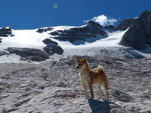 kaiyun开云·官方网站-世界杯传奇瞬间：经典 replay 不可错过，世界杯片段