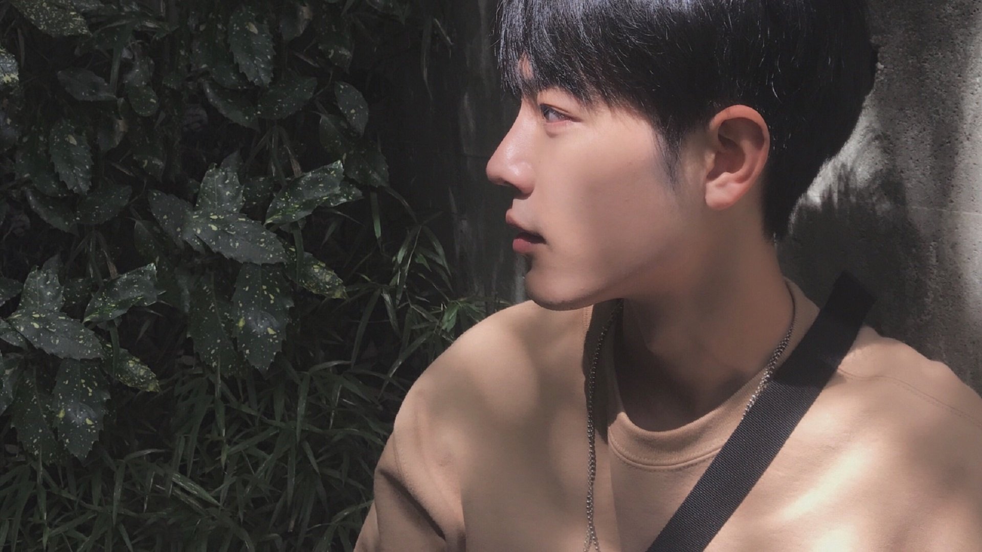 国王专注防守端优化轮换体系，国王经典阵容