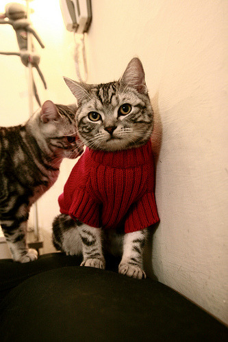 开云官方网页登录-拉文空接暴扣点燃主场氛围，拉文实战360度扣篮