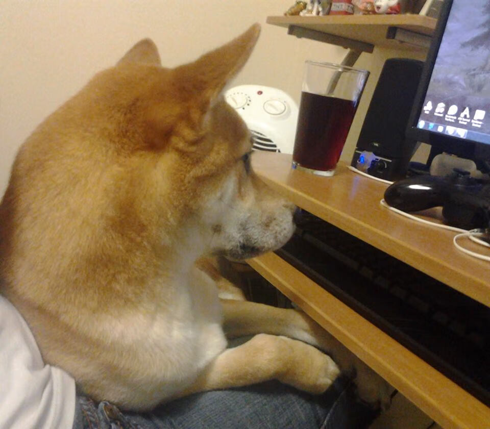 开云网页版登录入口-法国队冲刺阶段展现爆发力，法国队进攻